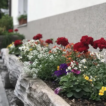 Neumeister ゲストハウス